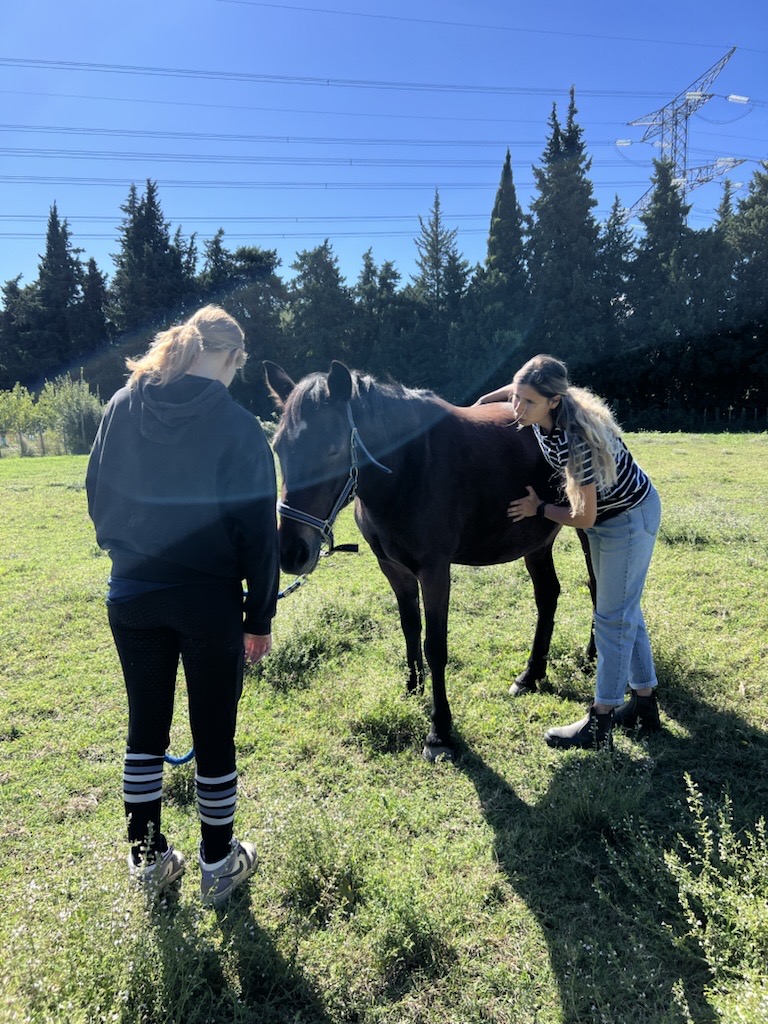 Alice et une cavalière en séance d'ostéopathie sur un cheval bai au pré